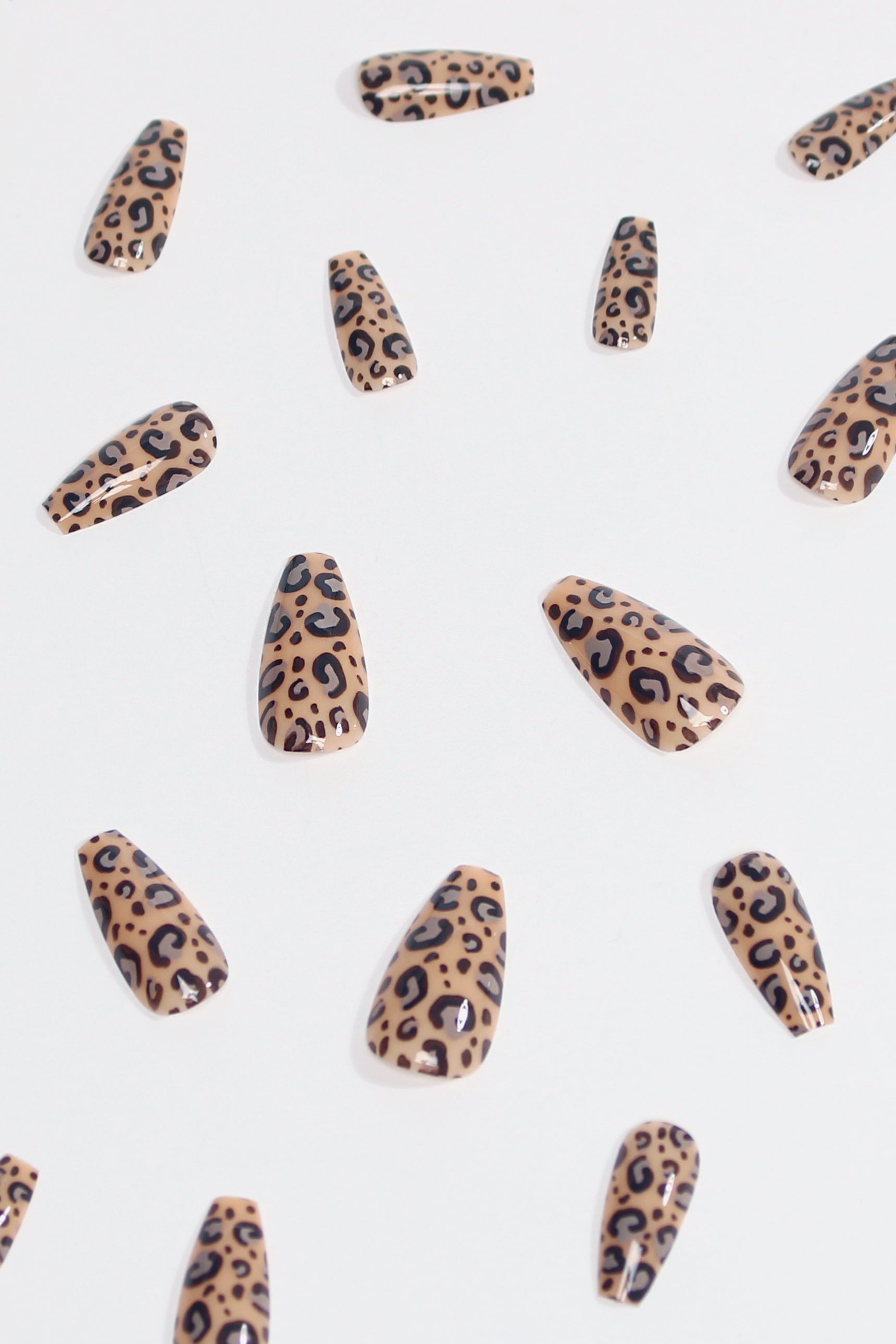 Urban Jungle 1.0 | Soft & Durable Press-On Nails